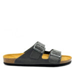 plakton-175857-apure-gris